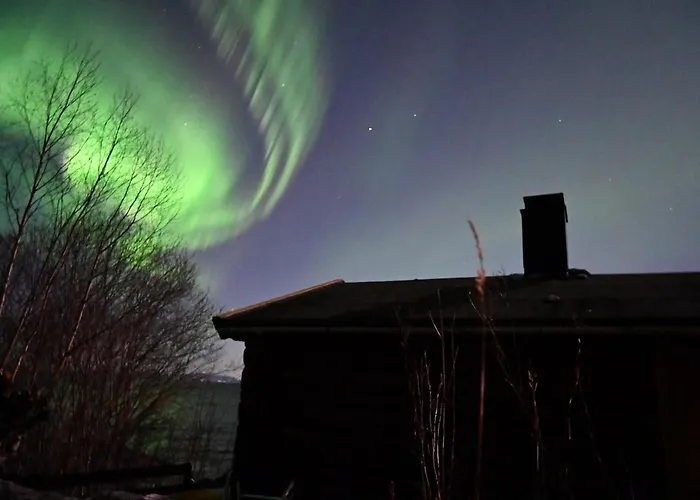 En Perle I Trondheimsfjorden Hébergement de vacances Trondheim